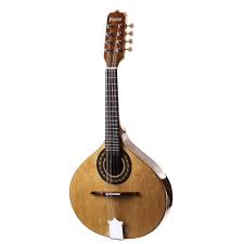 Bandolim Rozini Rb21 ACN Studio Acustico Natural